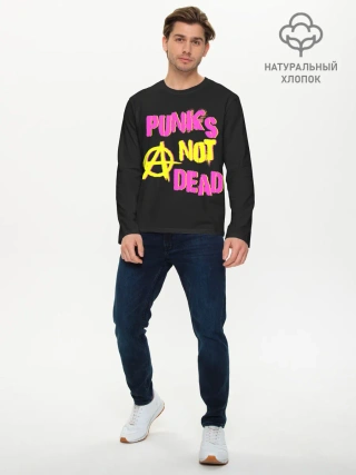 Мужской лонгслив базовый / Панк анархия
