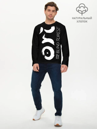 Мужской лонгслив базовый / Ori and the Will of the Wisps