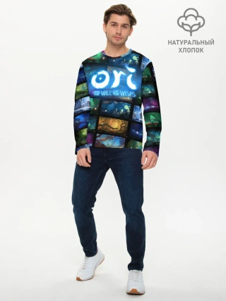 Мужской лонгслив базовый / Ori and the Will of the Wisps