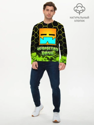 Мужской лонгслив базовый / Geometry Dash