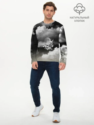 Мужской лонгслив базовый / Cloudy Night