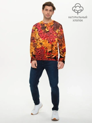 Мужской лонгслив базовый / Живопись коррозии металла