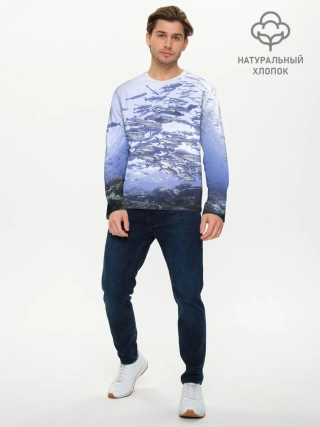 Мужской лонгслив базовый / Косяк рыбы