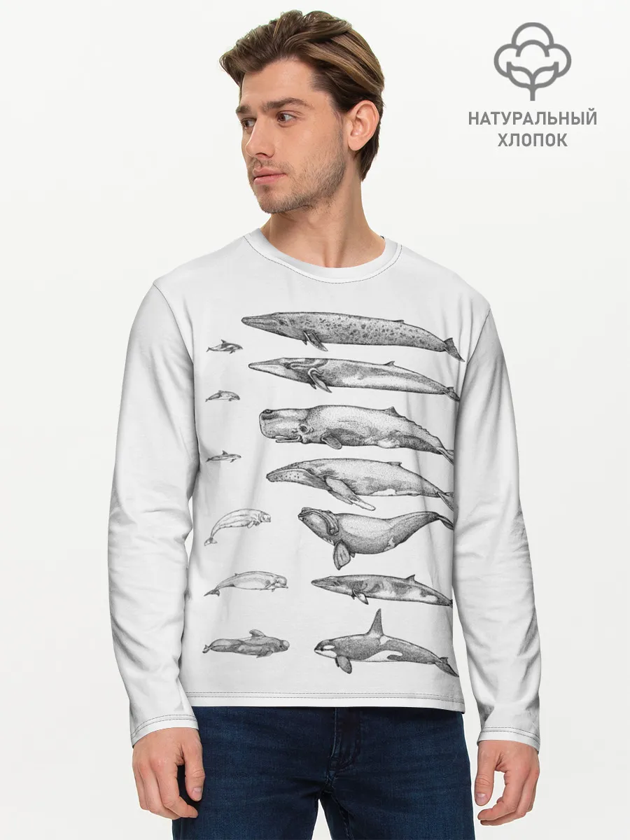 Мужской лонгслив базовый / киты графика