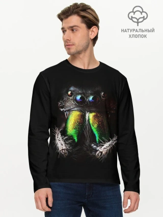 Мужской лонгслив базовый / ПАУК МАКРО СЪЕМКА