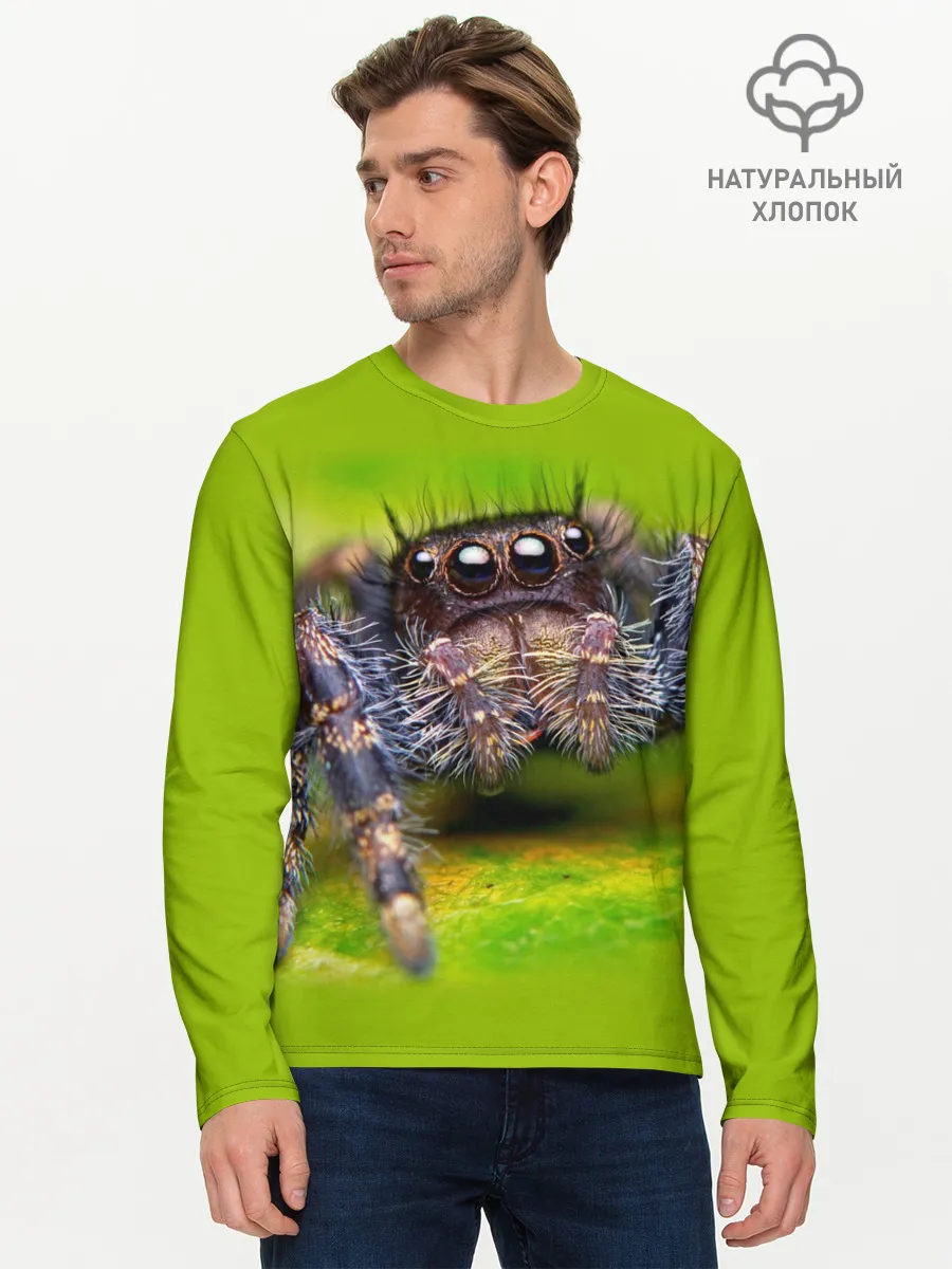 Мужской лонгслив базовый / ПАУК МАКРО