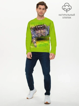 Мужской лонгслив базовый / ПАУК МАКРО