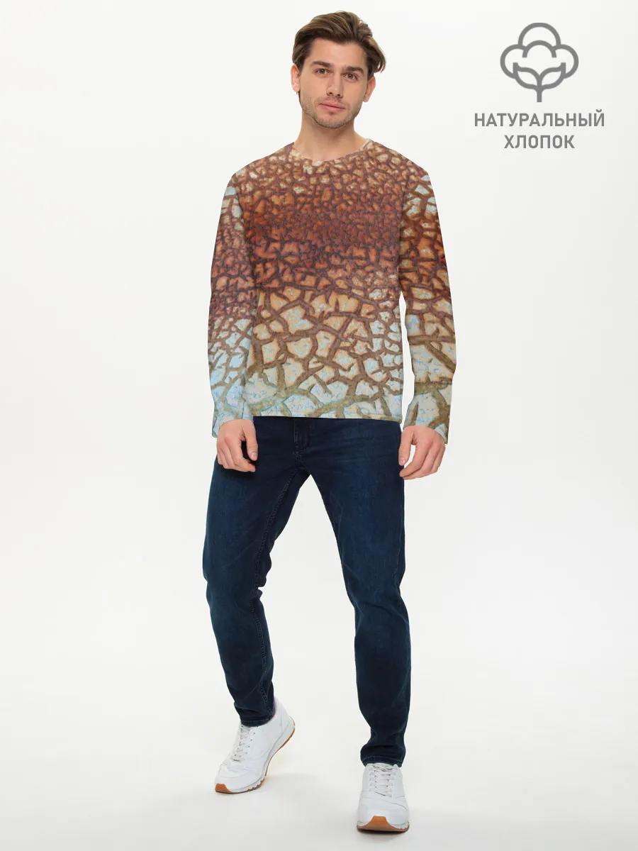 Мужской лонгслив базовый / Пустынные Трещины
