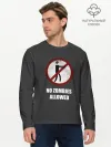 Мужской лонгслив базовый / NO ZOMBIES ALLOWED