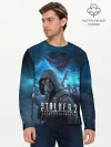 Мужской лонгслив базовый / Сталкер 2 Сердце Чернобыля DE