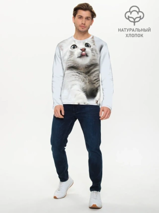 Мужской лонгслив базовый / серый котенок