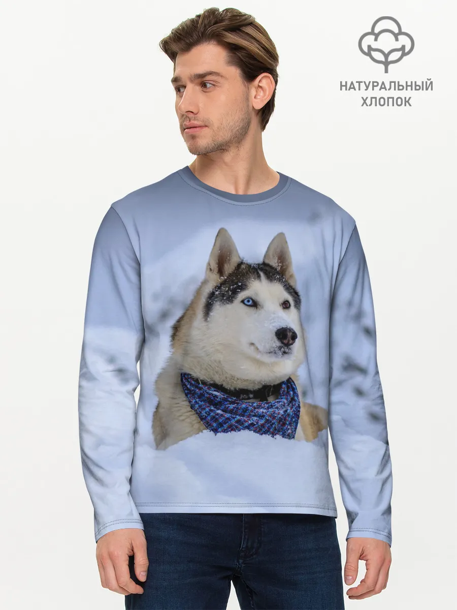 Мужской лонгслив базовый / Хаски