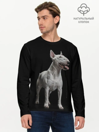 Мужской лонгслив базовый / Bully