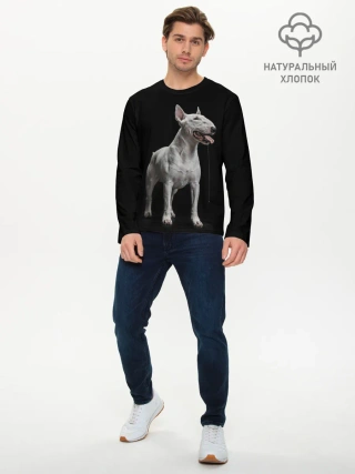 Мужской лонгслив базовый / Bully
