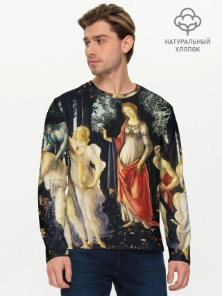 Мужской лонгслив базовый / весна боттичелли