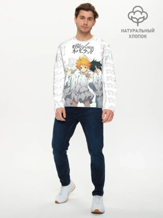 Мужской лонгслив базовый / Персонажи Обещанный Неверленд