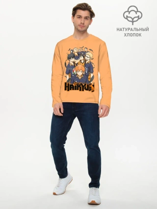 Мужской лонгслив базовый / Аниме Волейбол