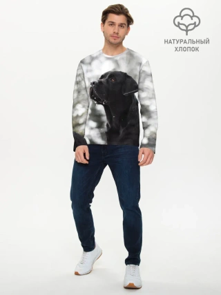 Мужской лонгслив базовый / Лабрадор Марк