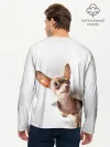 Мужской лонгслив базовый / Чихуахуа из бумаги вылазит