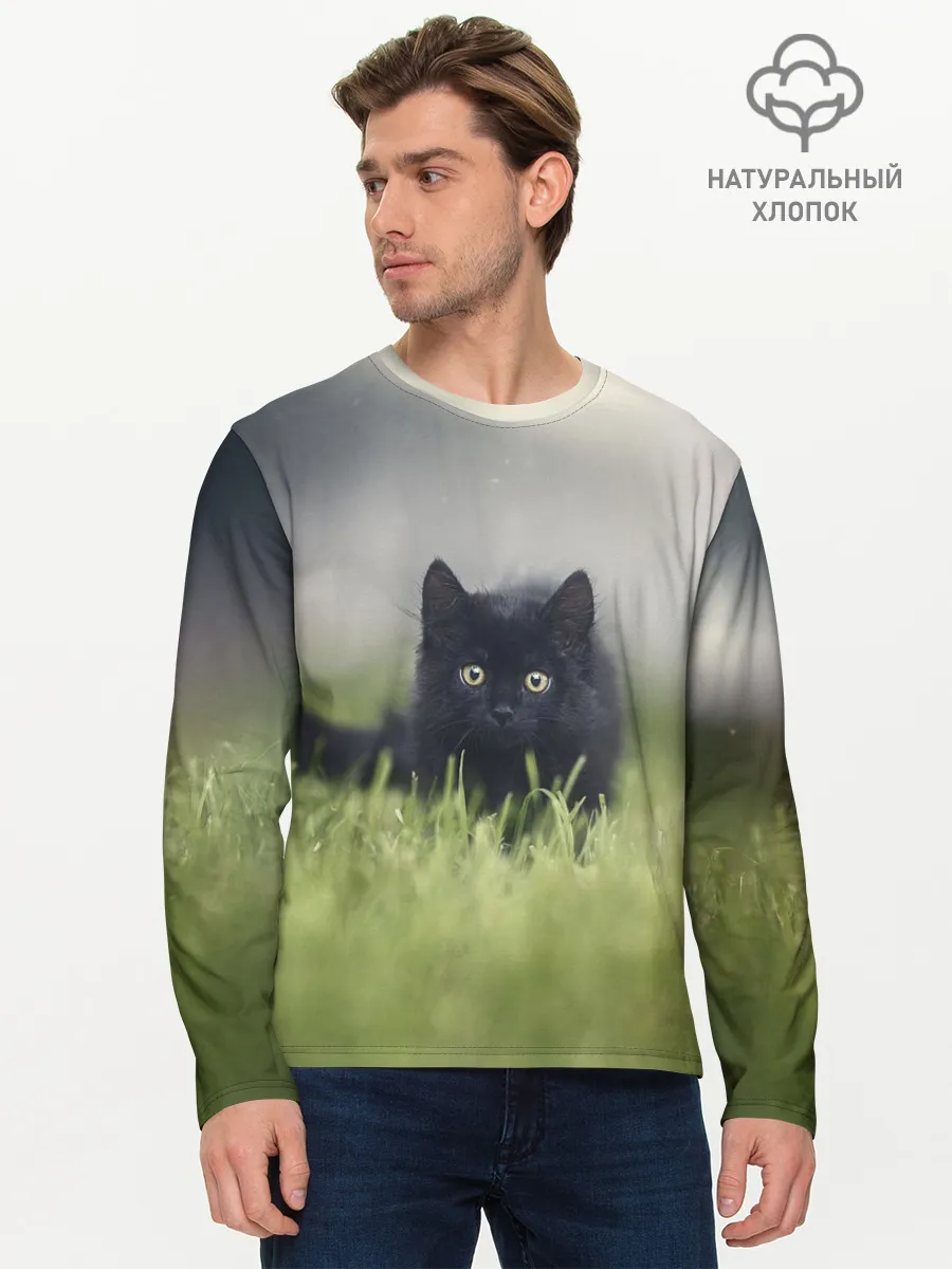 Мужской лонгслив базовый / черный кот на лугу