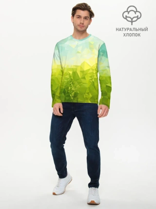 Мужской лонгслив базовый / Природная Абстракция