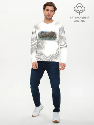 Мужской лонгслив базовый / Valheim