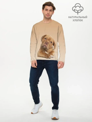 Мужской лонгслив базовый / питбуль