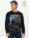 Мужской лонгслив базовый / Powerwolf