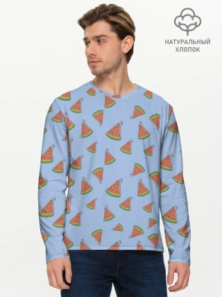 Мужской лонгслив базовый / Кусочки арбуза