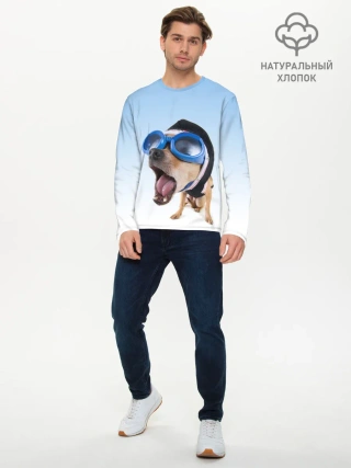 Мужской лонгслив базовый / собака в очках