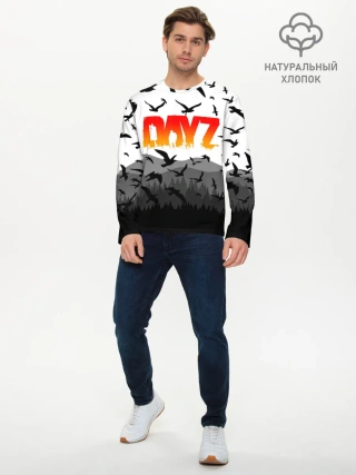 Мужской лонгслив базовый / DAYZ