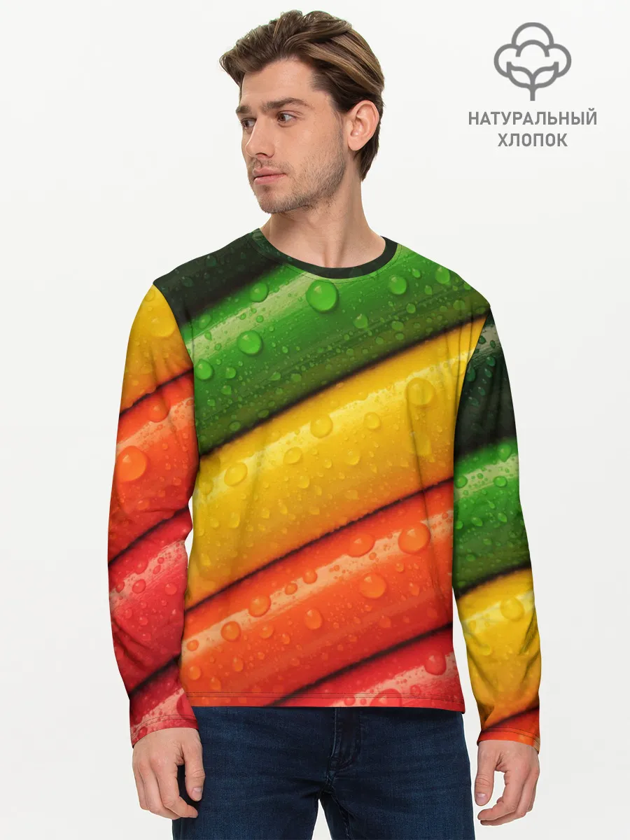 Мужской лонгслив базовый / Цветные линии