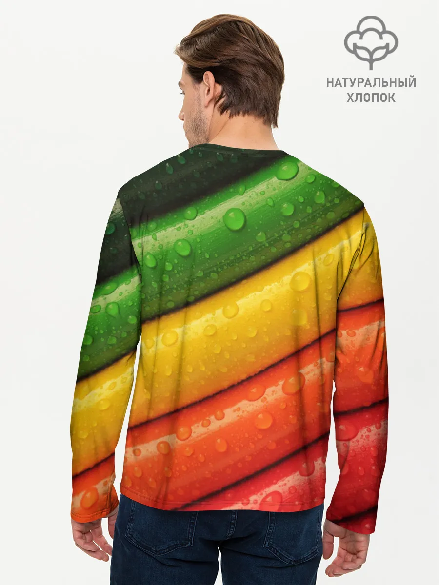 Мужской лонгслив базовый / Цветные линии