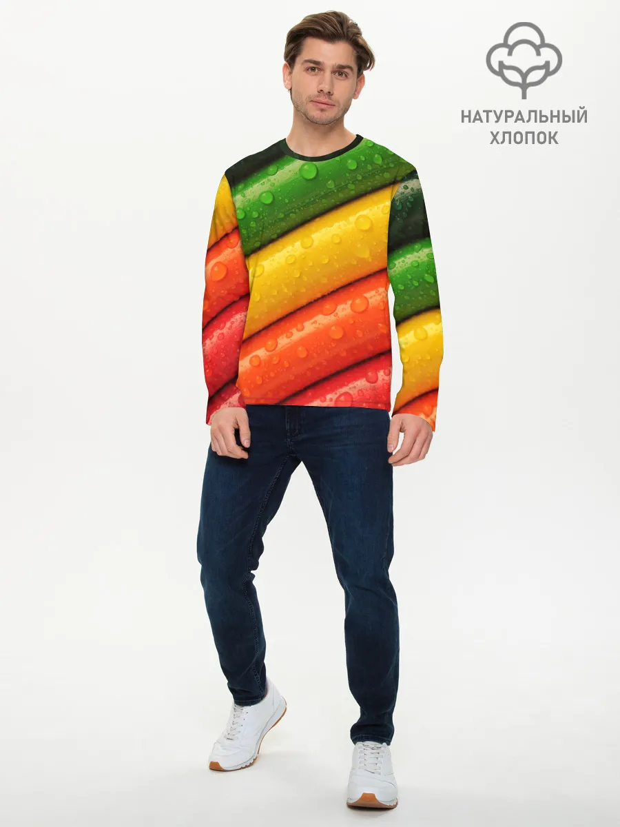 Мужской лонгслив базовый / Цветные линии
