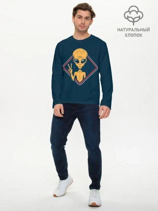 Мужской лонгслив базовый / НЛО / UFO