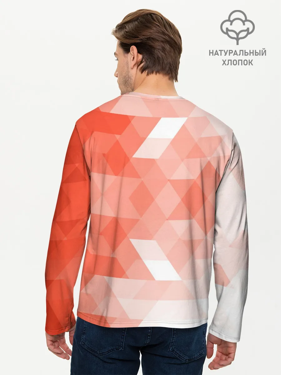 Мужской лонгслив базовый / GENSHIN IMPACT КЛИ