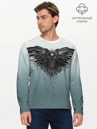 Мужской лонгслив базовый / Crow