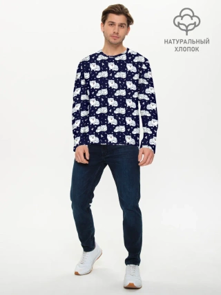 Мужской лонгслив базовый / Милая Шиба Ину