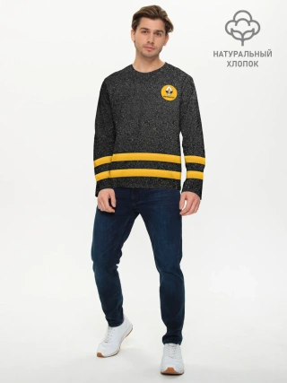 Мужской лонгслив базовый / Renault | Passion for life