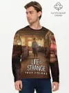 Мужской лонгслив базовый / Life Is Strange True Colors