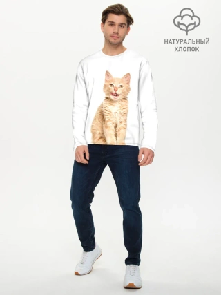 Мужской лонгслив базовый / Кошечка
