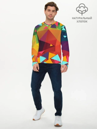 Мужской лонгслив базовый / Геометрическая Абстракция
