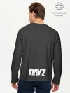 Мужской лонгслив базовый / Френдли DayZ