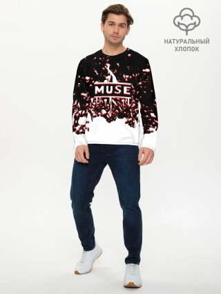 Мужской лонгслив базовый / muse.