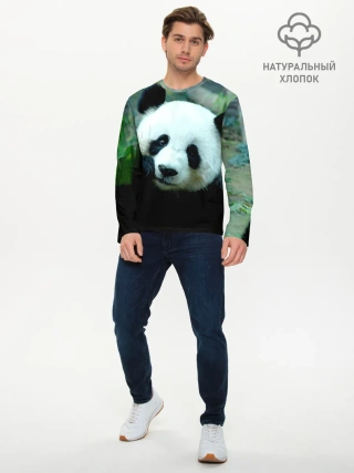 Мужской лонгслив базовый / Панда