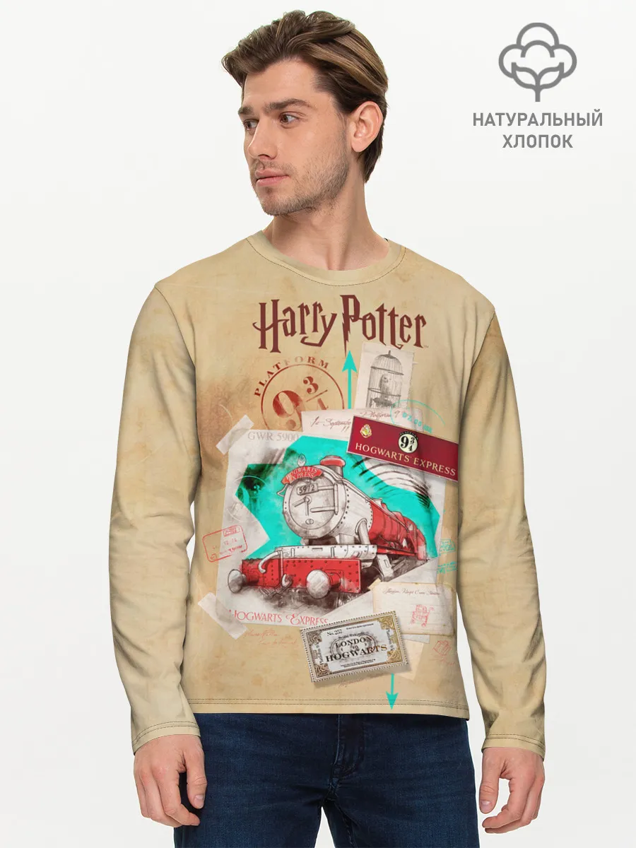 Мужской лонгслив базовый / Harry Potter Hogwarts Express