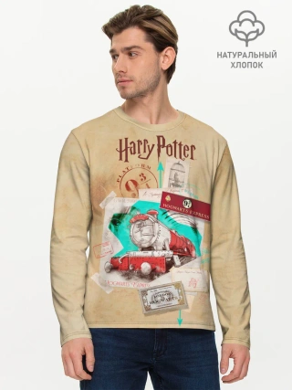 Мужской лонгслив базовый / Harry Potter Hogwarts Express