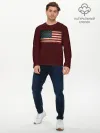 Мужской лонгслив базовый / USA