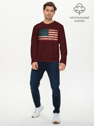 Мужской лонгслив базовый / USA