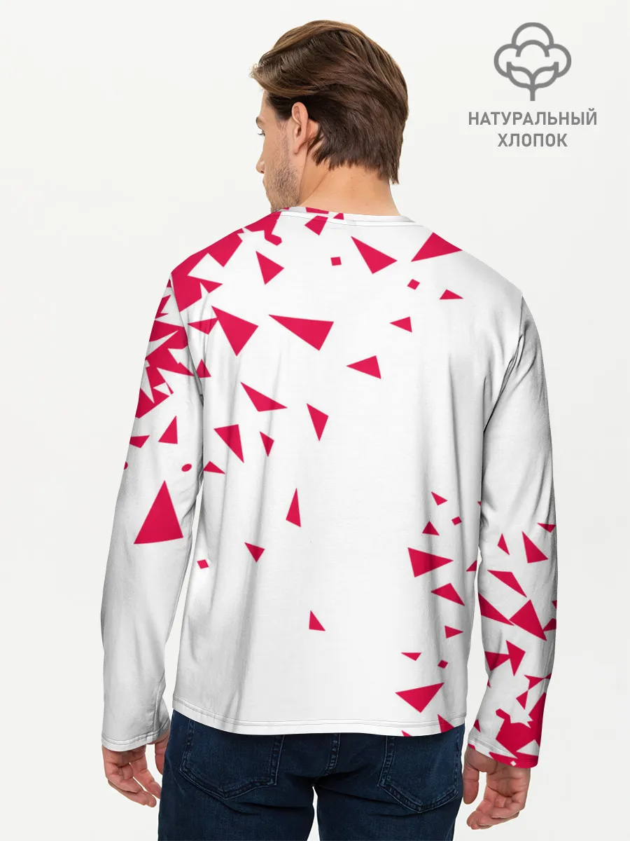 Мужской лонгслив базовый / Beastars треугольники